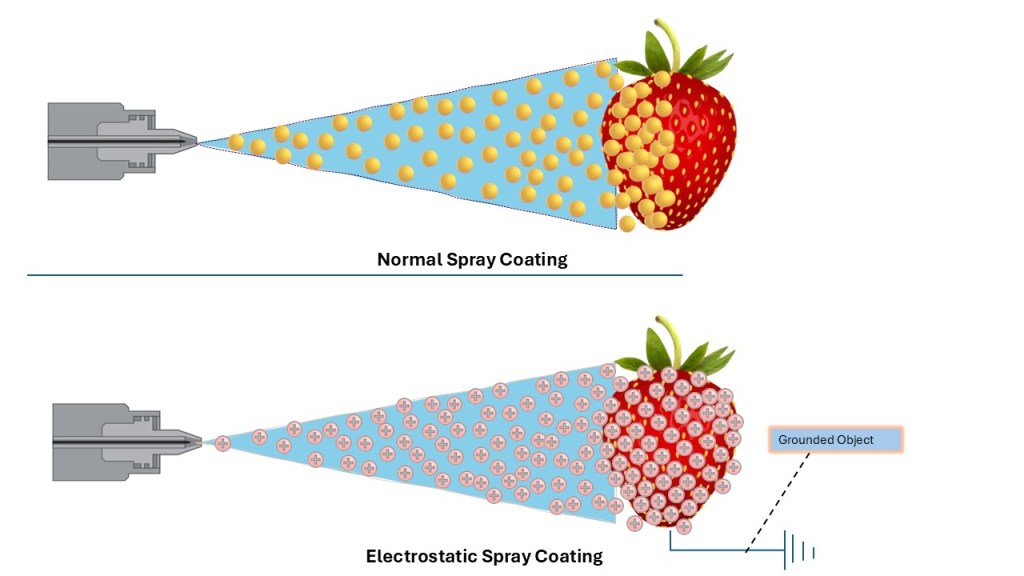 Smart Food Packaging via Electrostatic Coating: A Strategy for Prolonging Fresh Produce Shelf&nbsp;Life